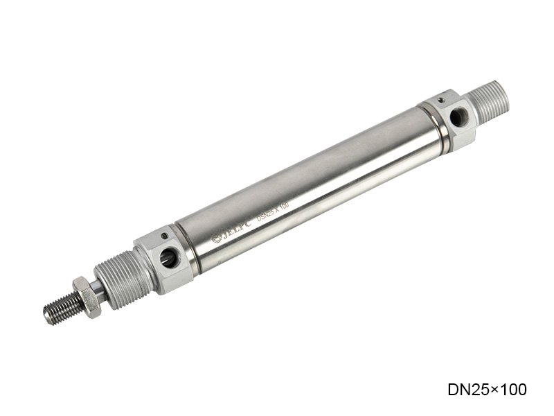 DN25X100