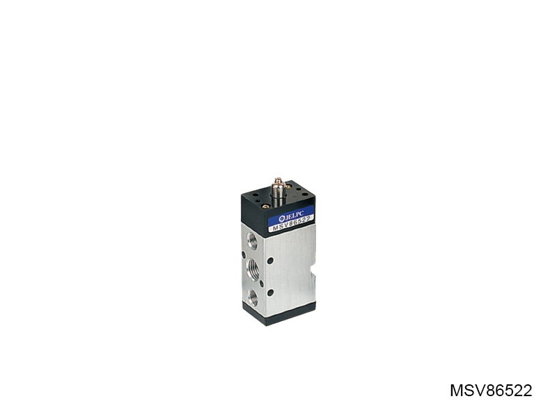 MSV86522